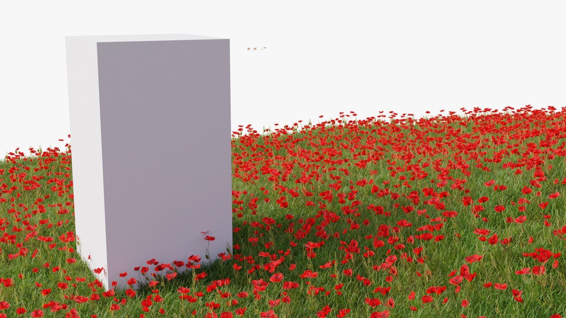 Grasses and Flower Field Package 3D Model Collection_50