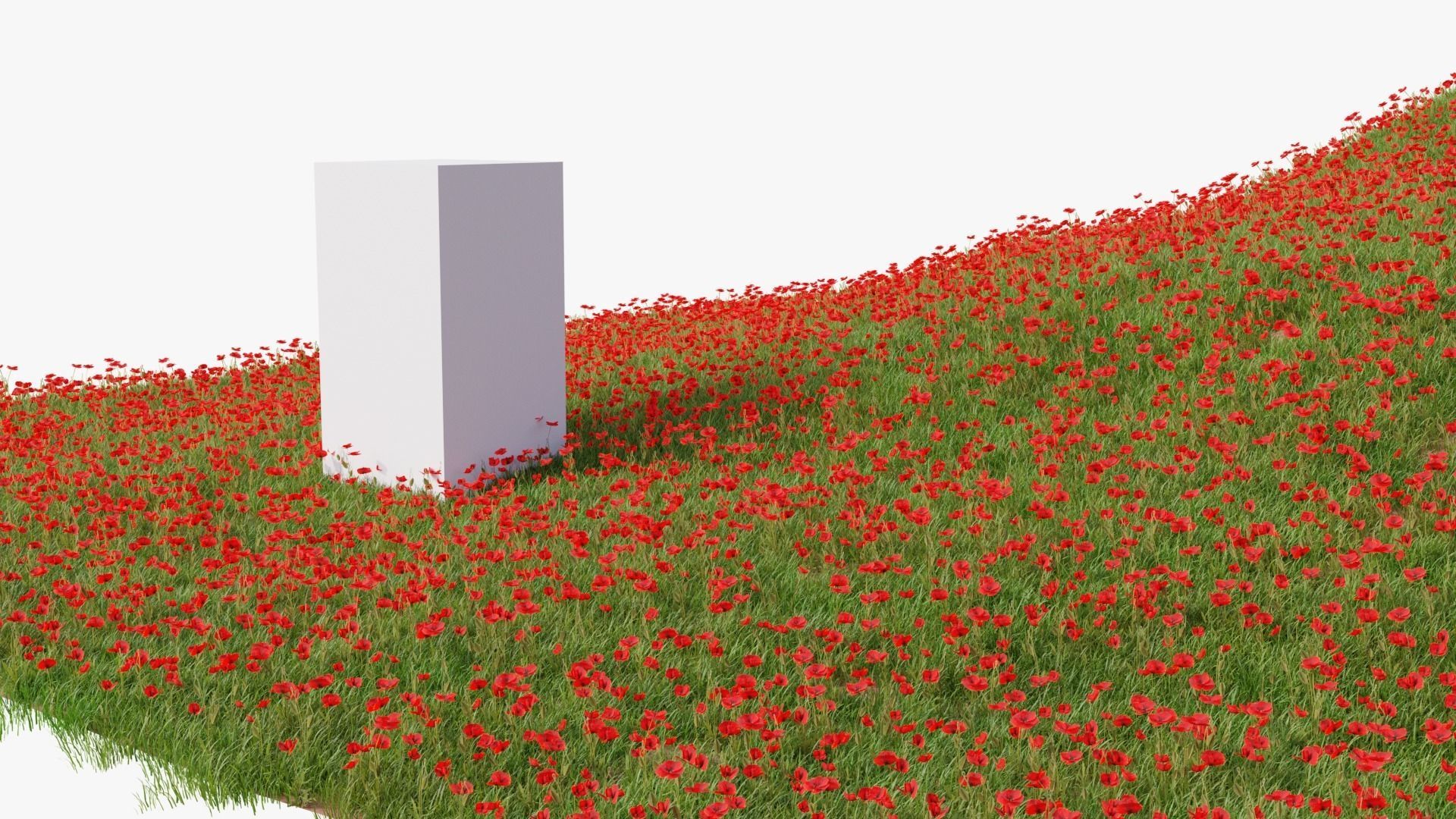 Grasses and Flower Field Package 3D Model Collection_3