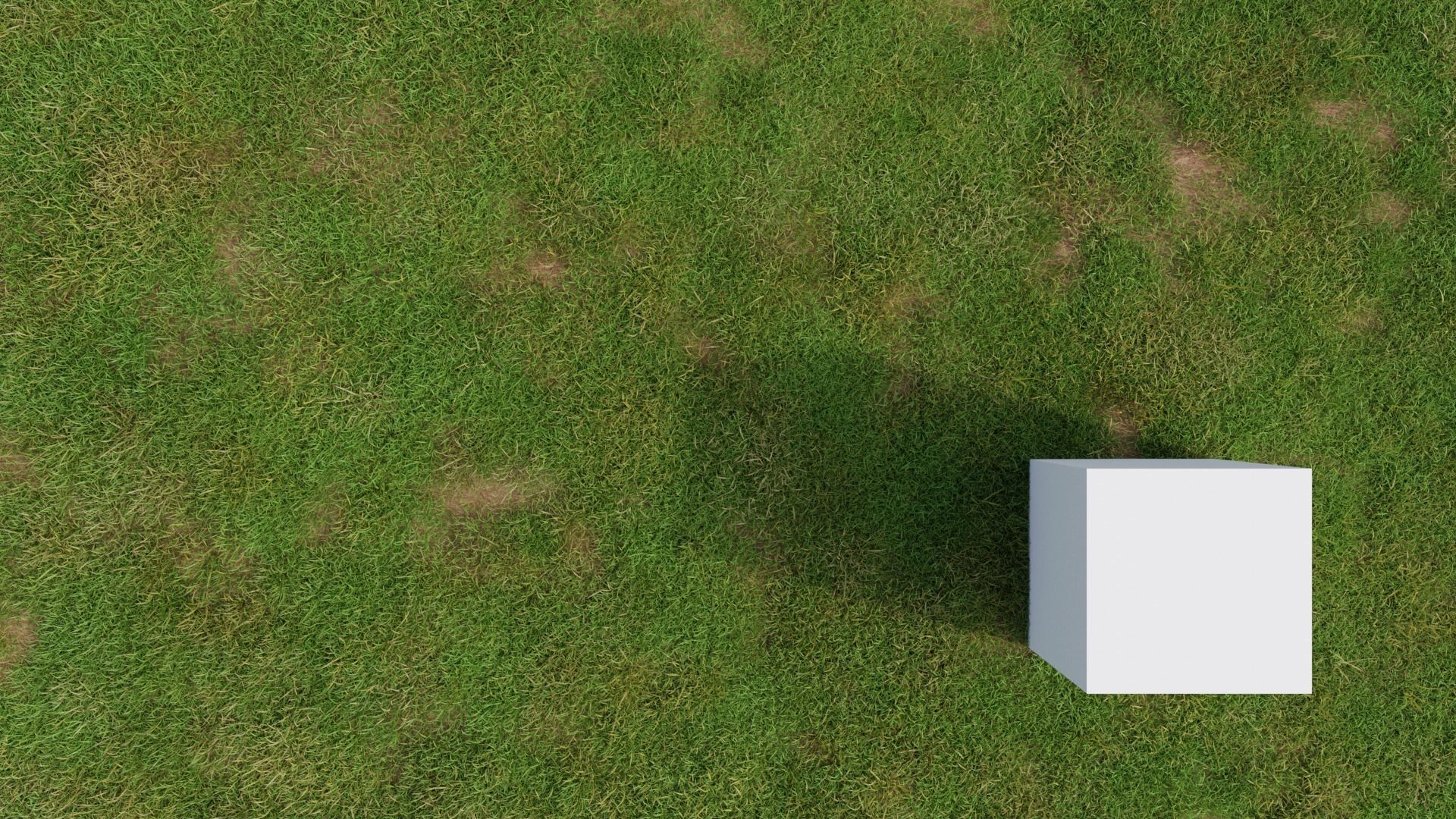 Grasses and Flower Field Package 3D Model Collection_7
