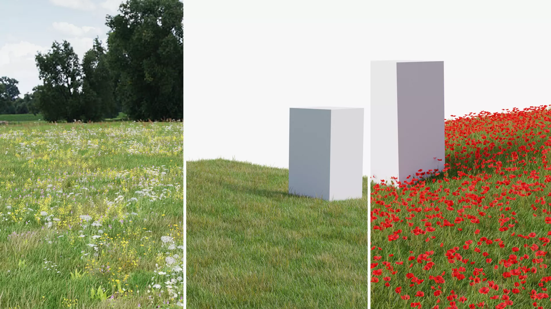 Grasses and Flower Field Package 3D Model Collection_0