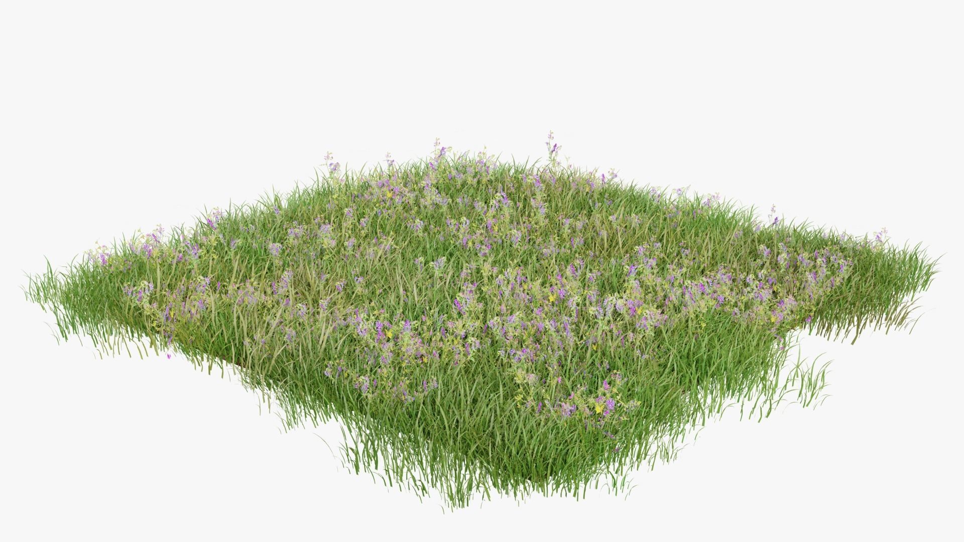 Grasses and Flower Field Package 3D Model Collection_24