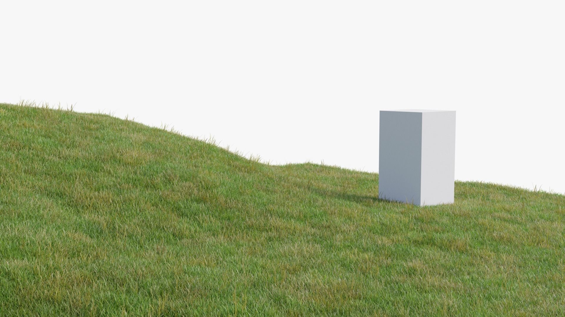 Grasses and Flower Field Package 3D Model Collection_4