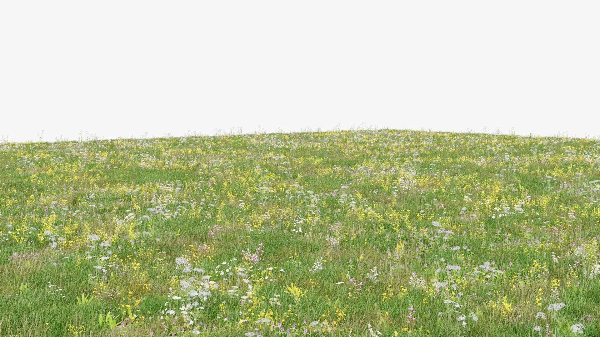 Grasses and Flower Field Package 3D Model Collection_2