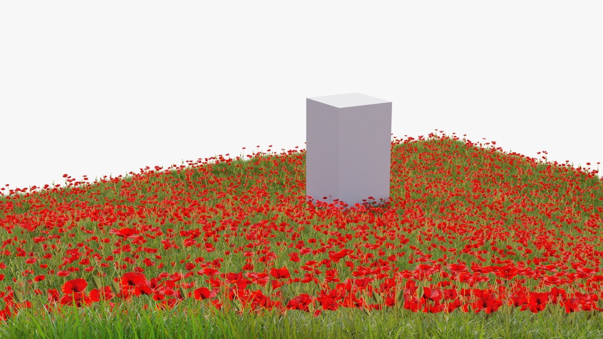 Grasses and Flower Field Package 3D Model Collection_46