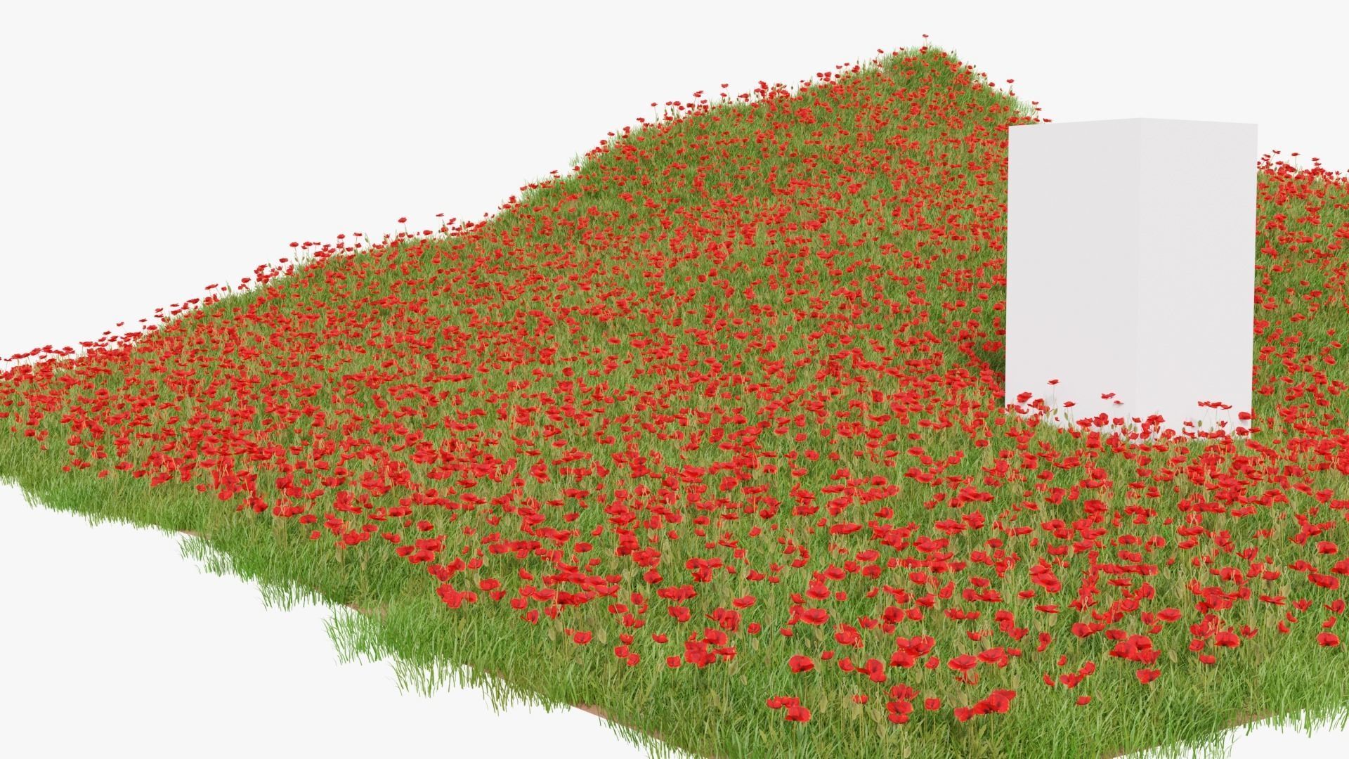 Grasses and Flower Field Package 3D Model Collection_49