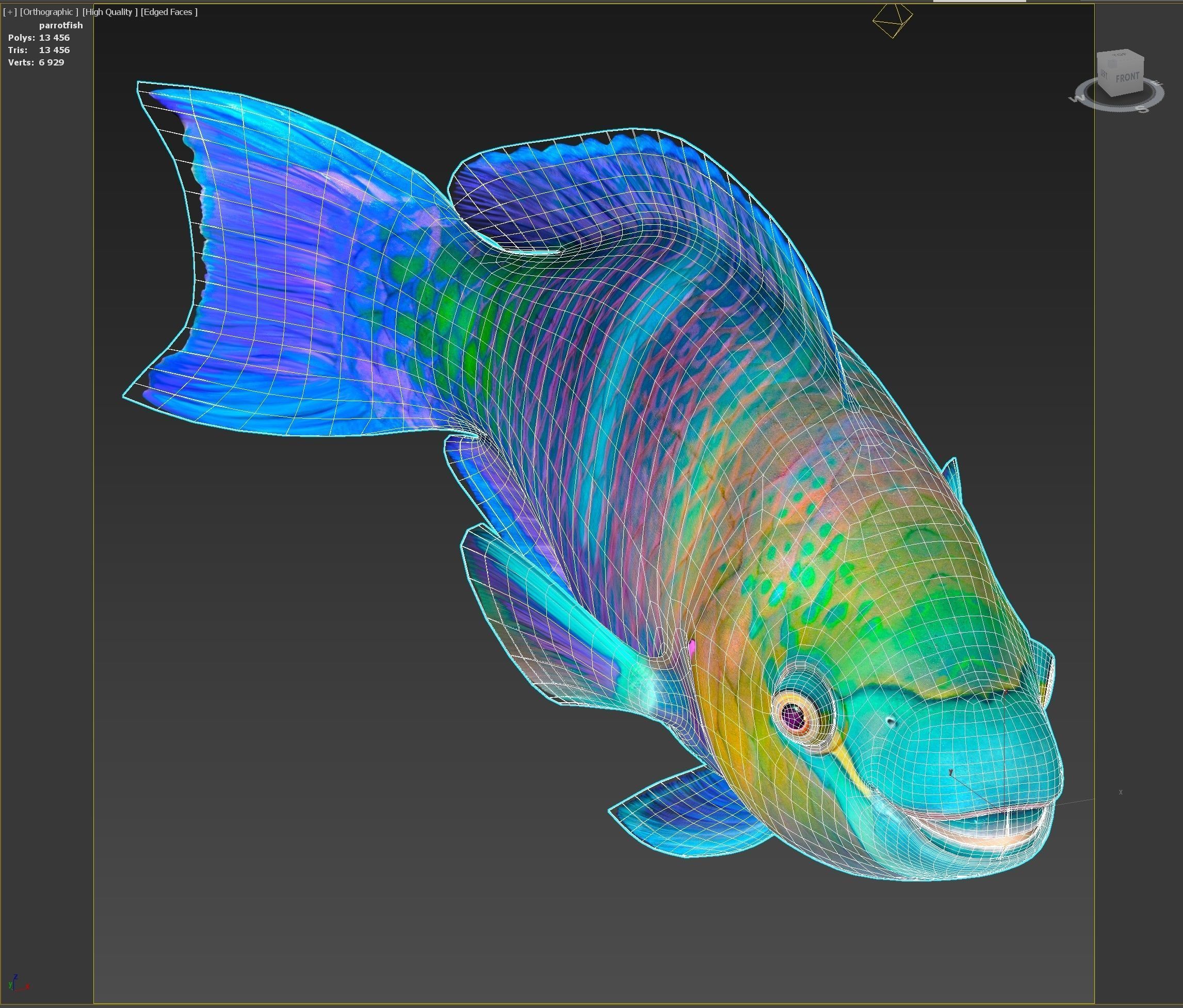 Fish Parrotfish Low-poly 3D model_10