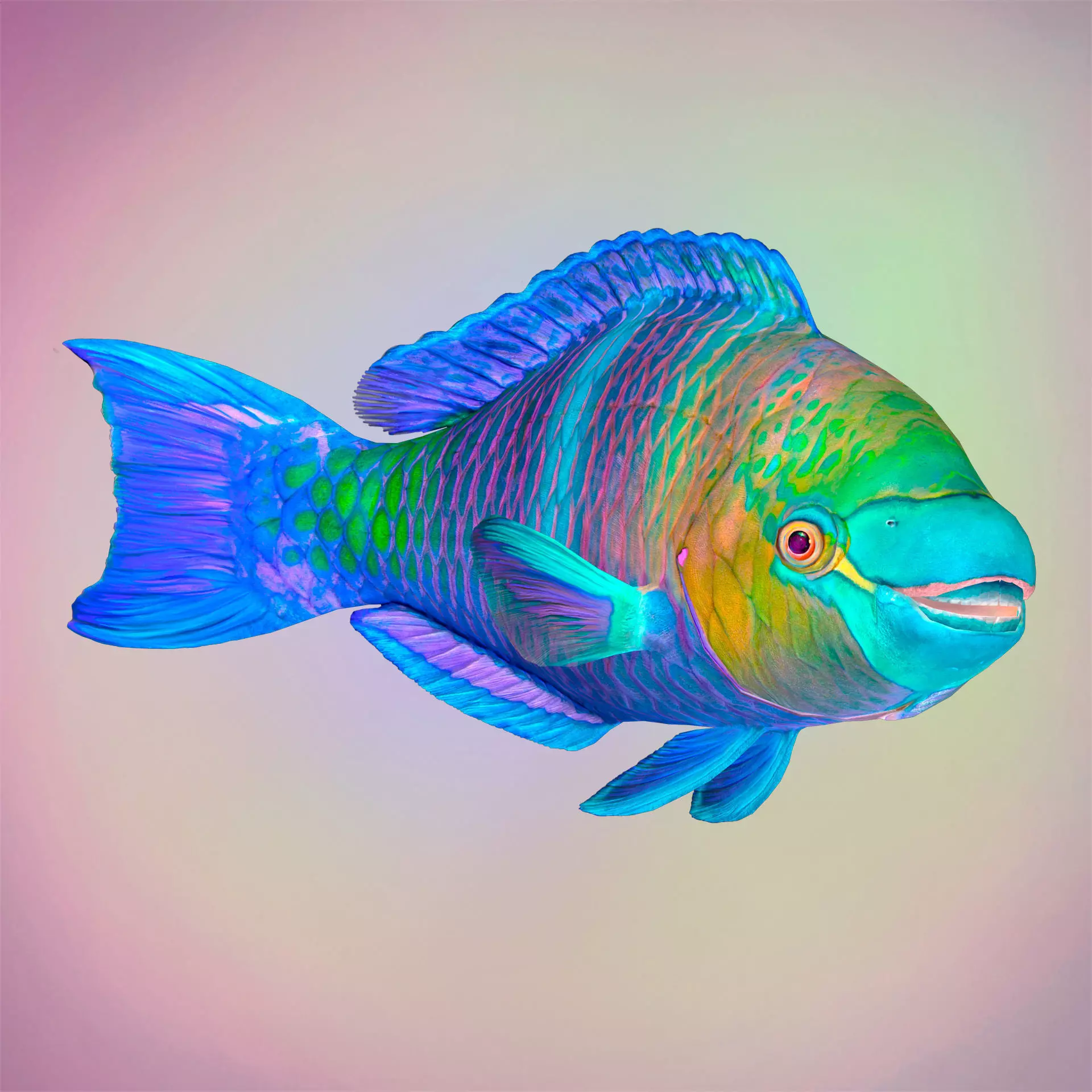 Fish Parrotfish Low-poly 3D model_0