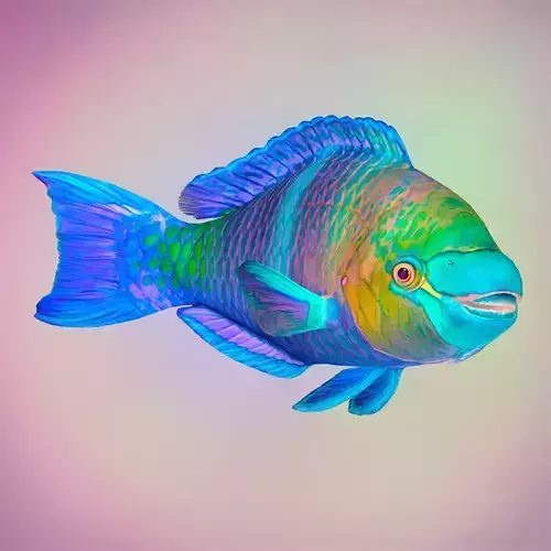 Fish Parrotfish Low-poly 3D model