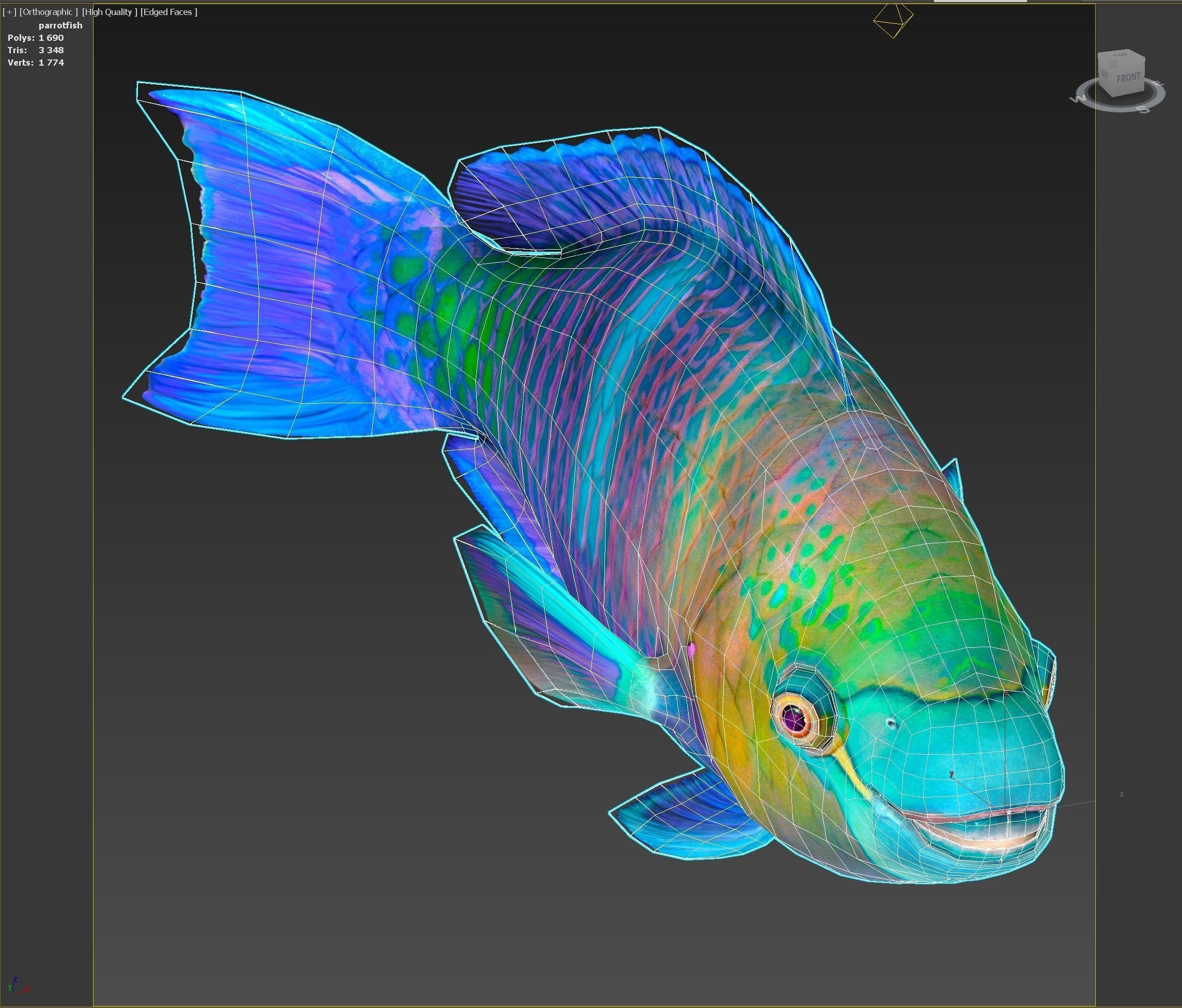 Fish Parrotfish Low-poly 3D model_9