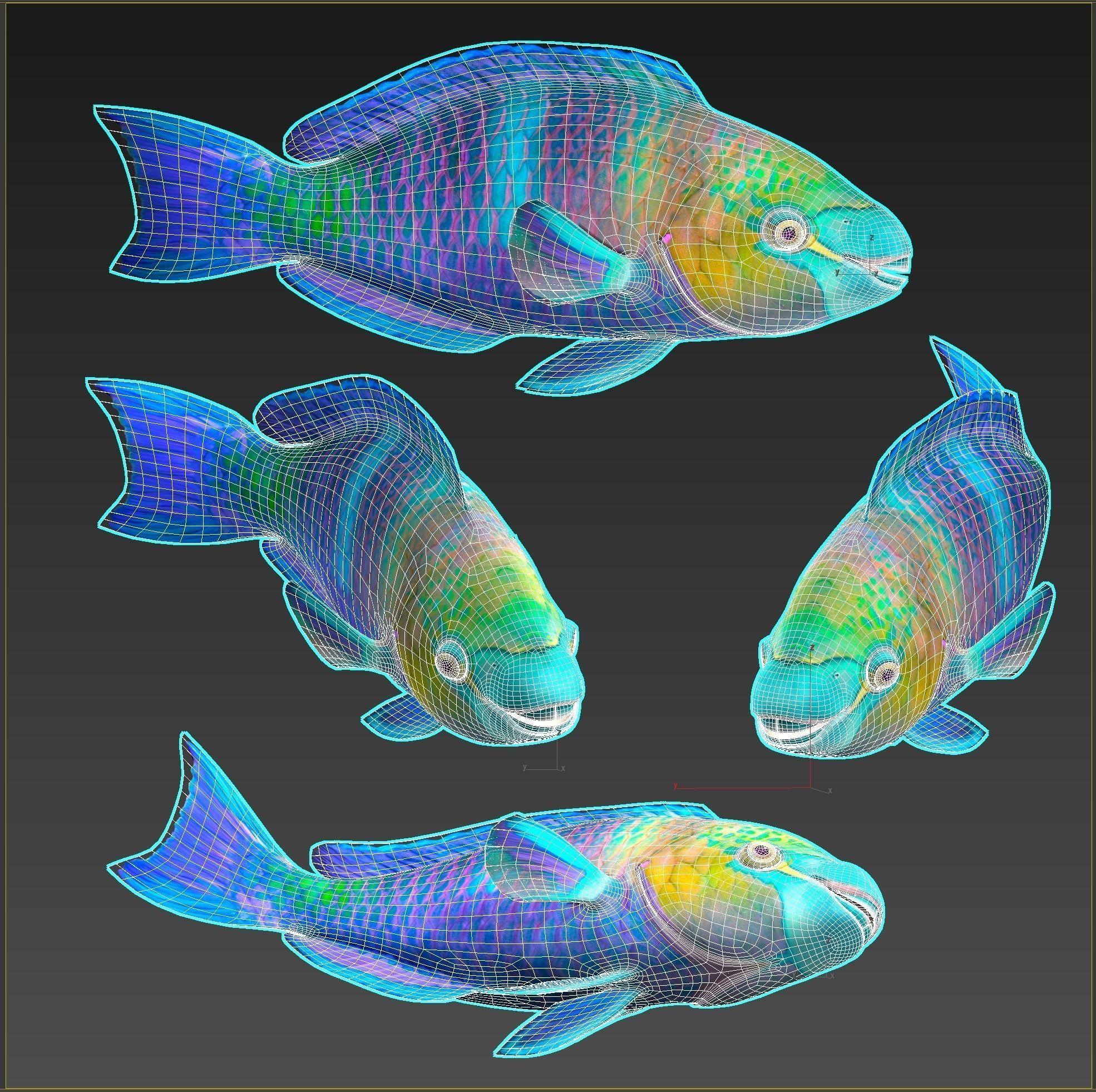 Fish Parrotfish Low-poly 3D model_7