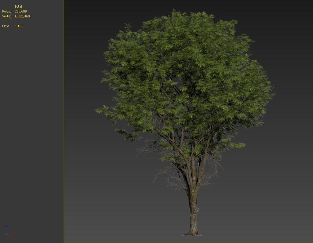 Ulmus hollandica 2 3D model_7