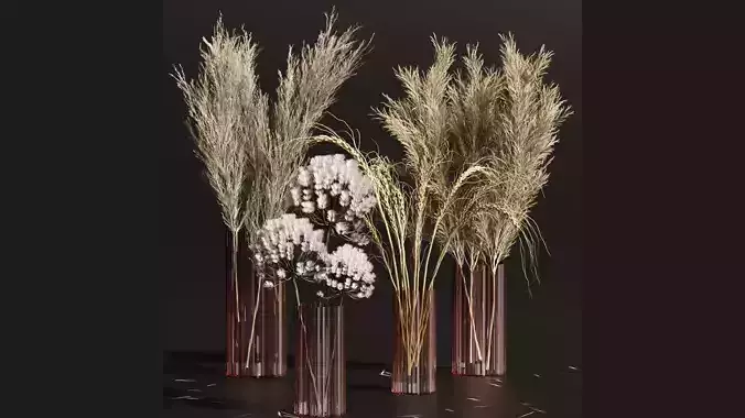 PAMPASS SET 01 3D model