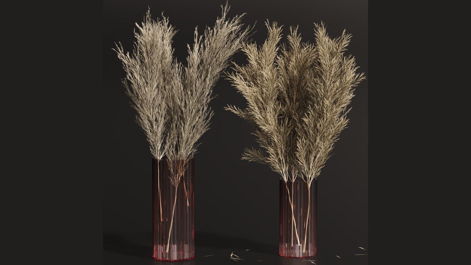 PAMPASS SET 01 3D model_1