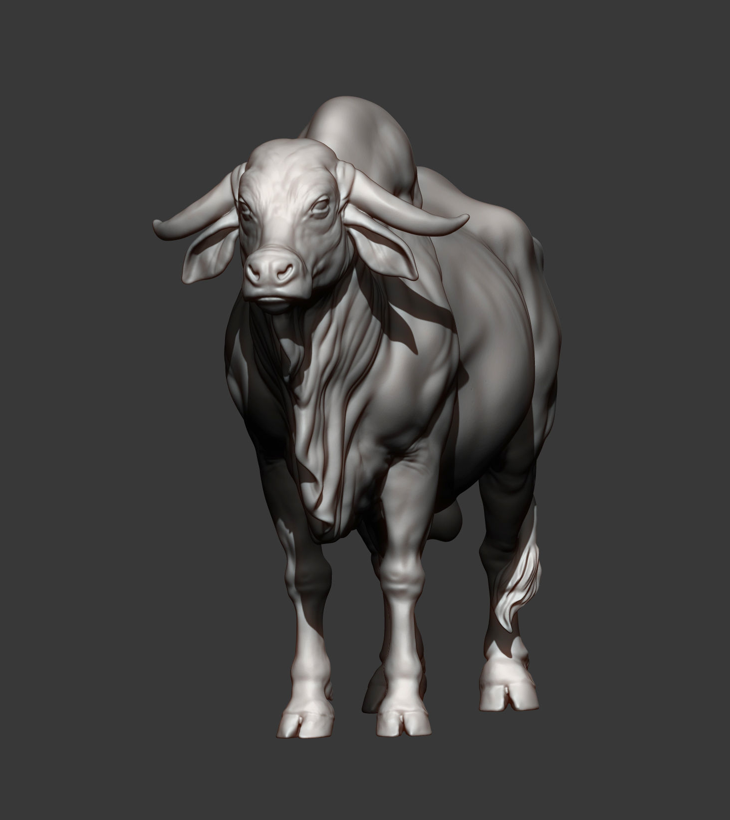 Gyr Bull 3D print model_9
