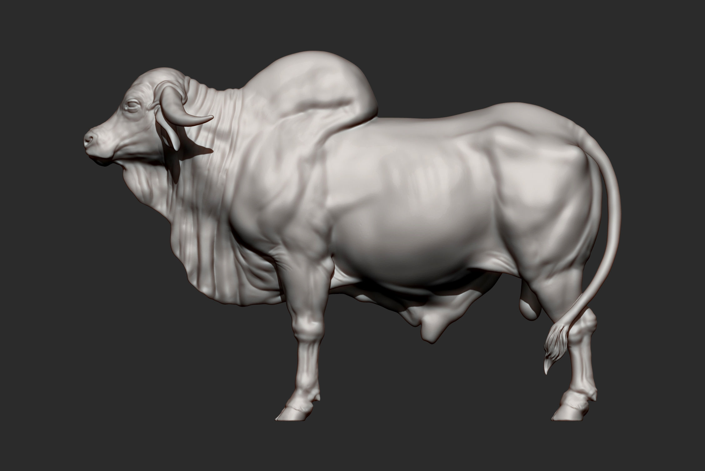 Gyr Bull 3D print model_10