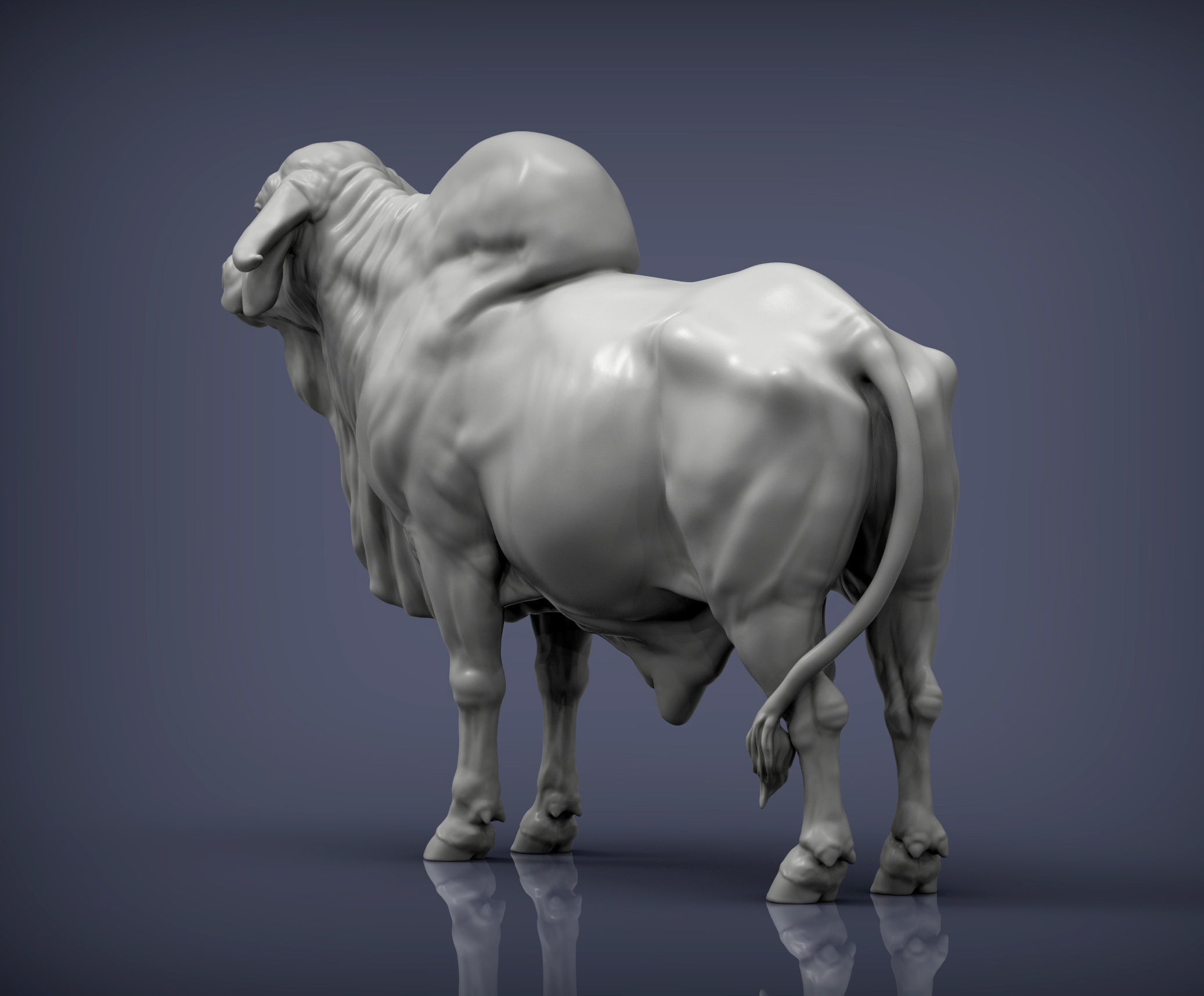 Gyr Bull 3D print model_5