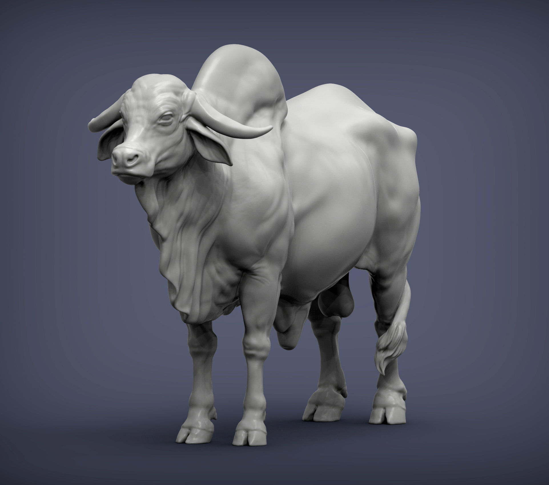 Gyr Bull 3D print model_1