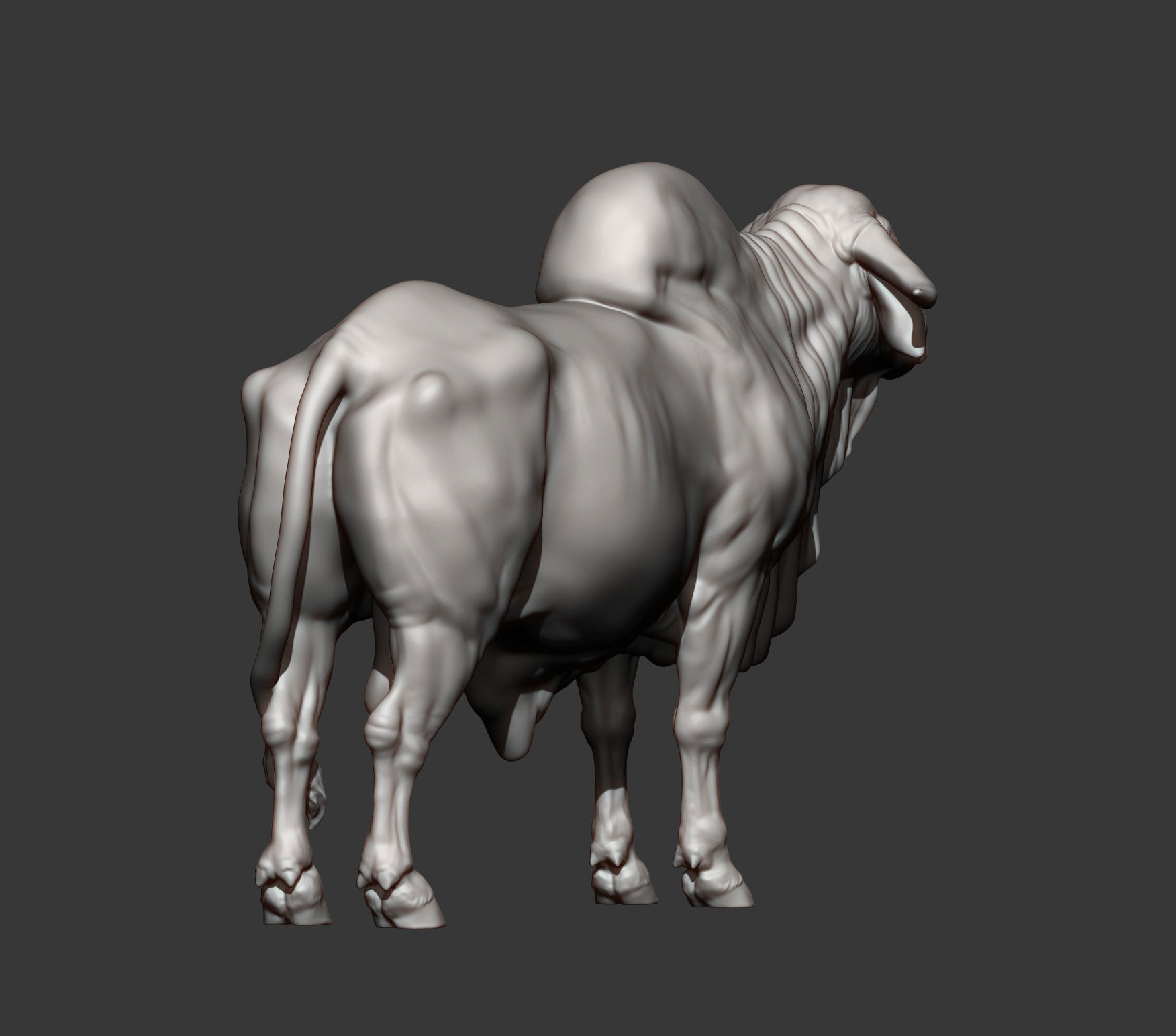 Gyr Bull 3D print model_6