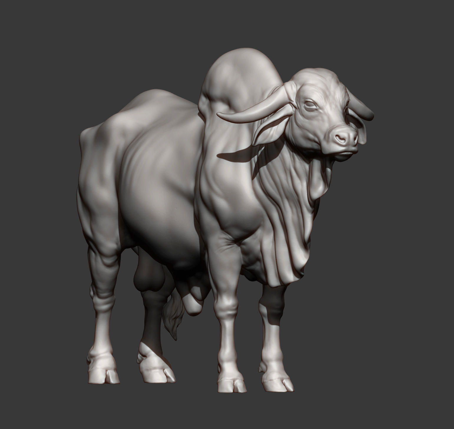 Gyr Bull 3D print model_7