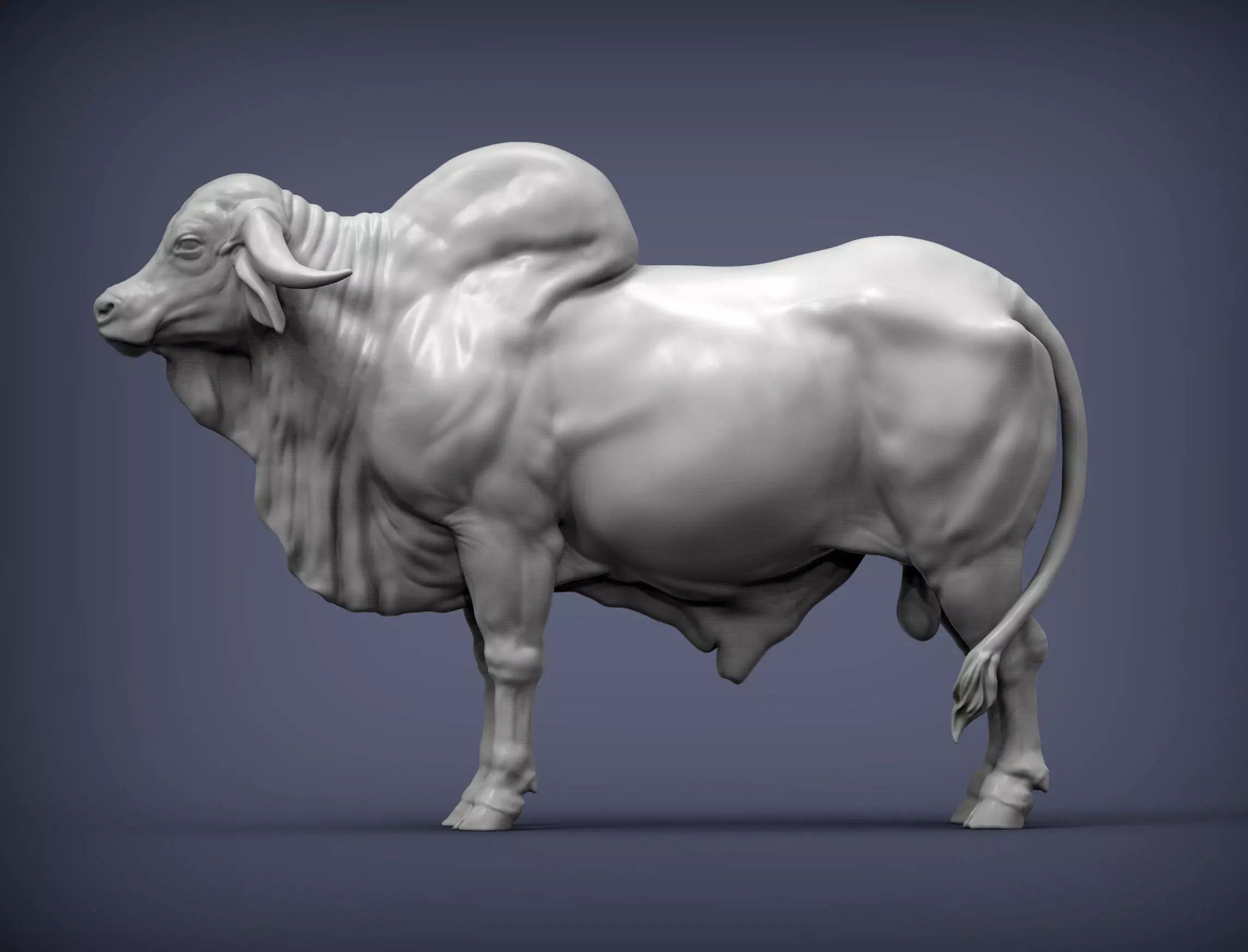 Gyr Bull 3D print model_0