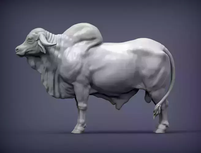 Gyr Bull 3D print model