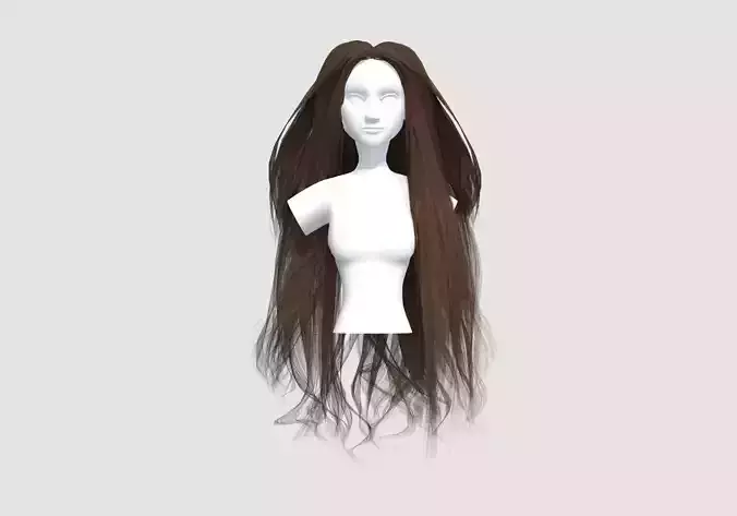 Very Long Hairstyle 