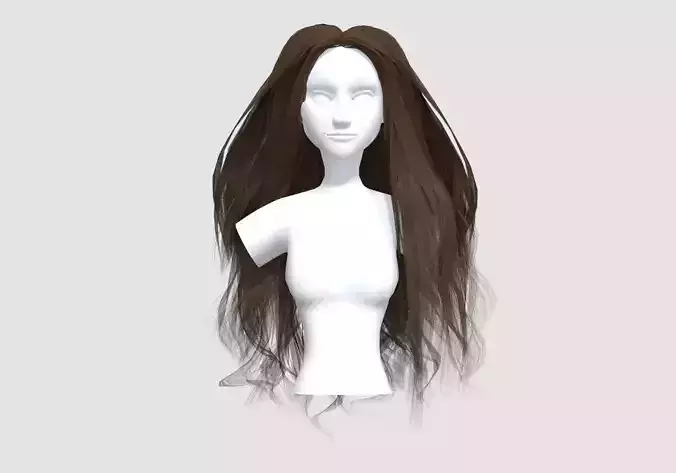 Thick Long Hairstyle 