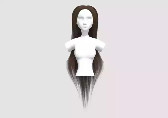 Straight Long Hairstyle 