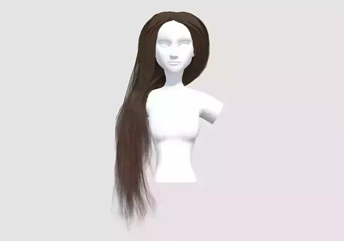 Side Female Hairstyle 