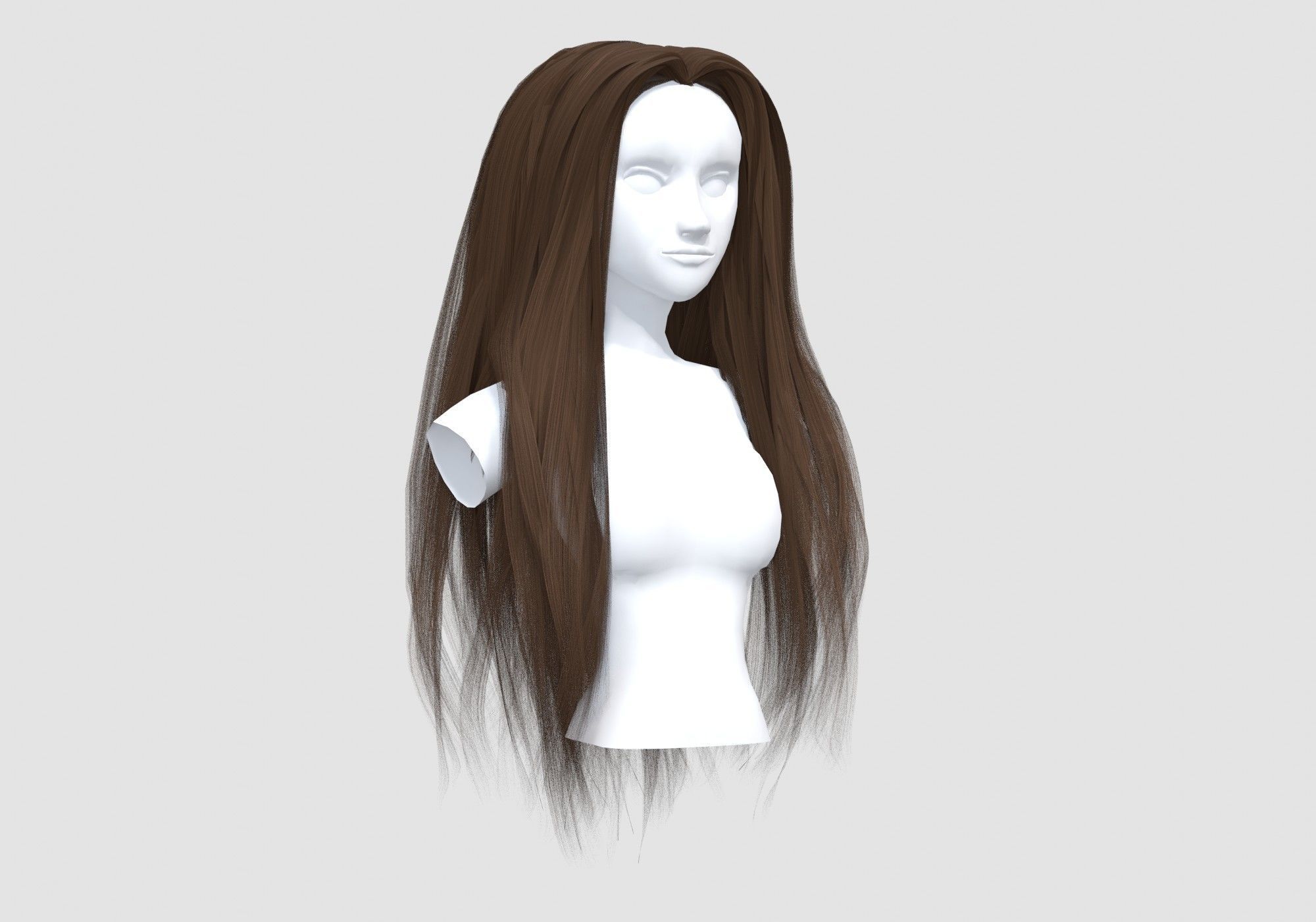 Pretty Long Hairstyle 3D model_1