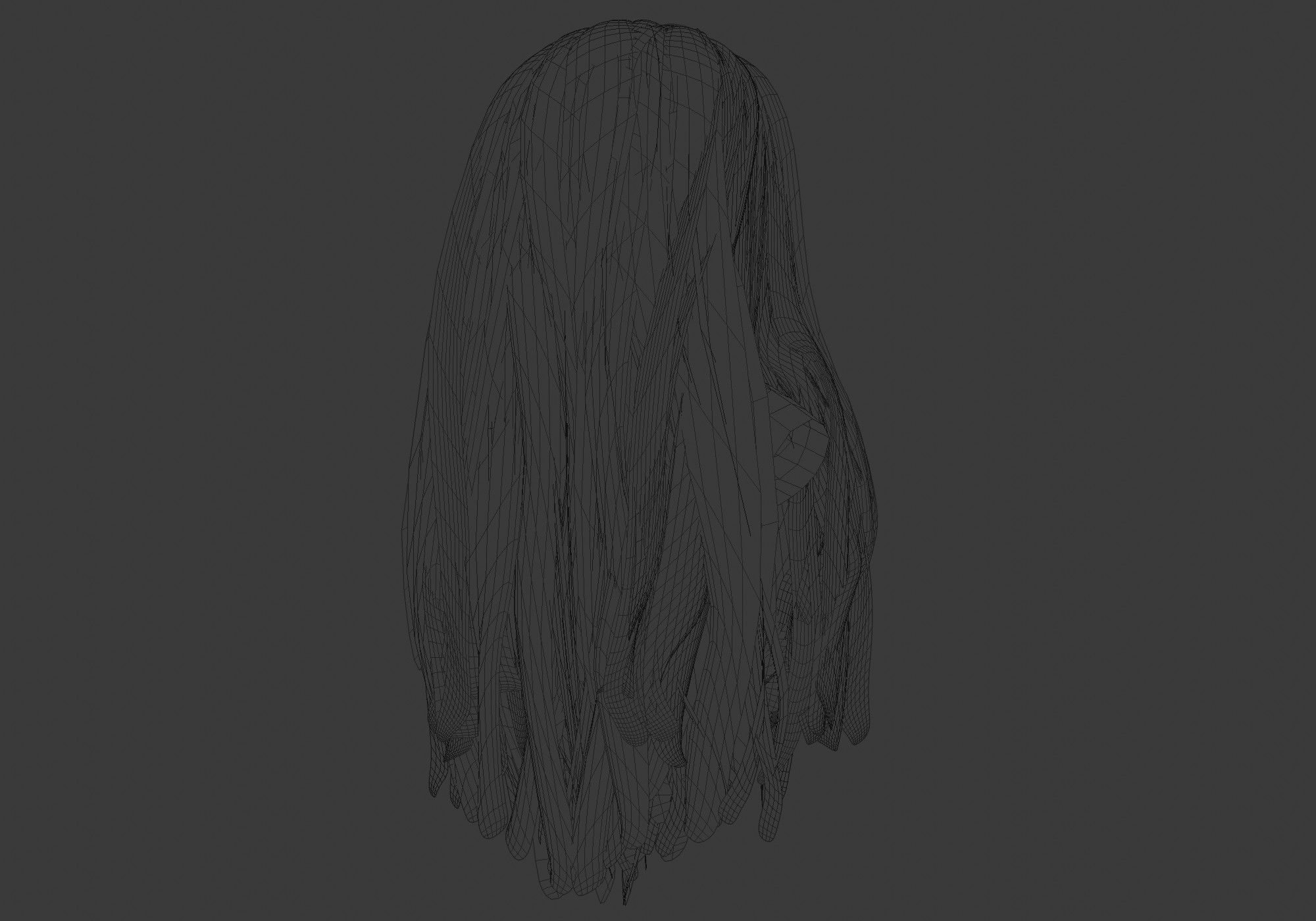 Pretty Long Hairstyle 3D model_8