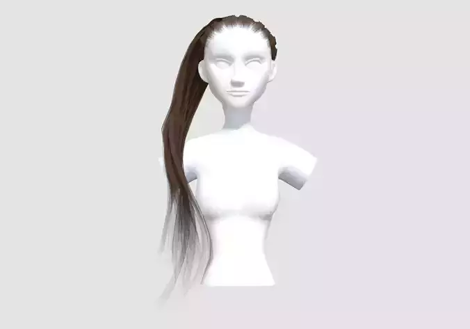 Pigtail Up Hairstyle 