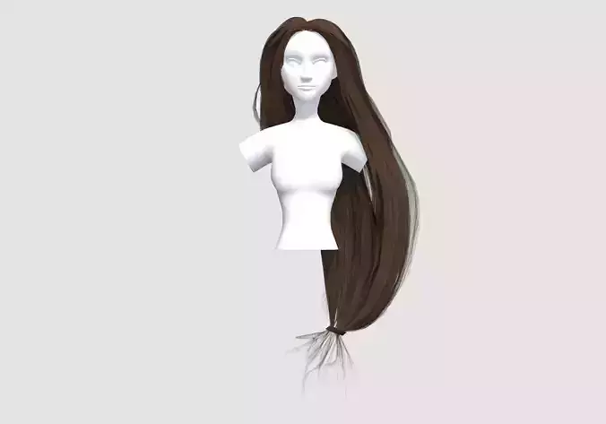 Pigtail Long Hairstyle 