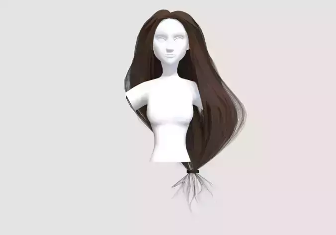 Pigtail Female Hairstyle 