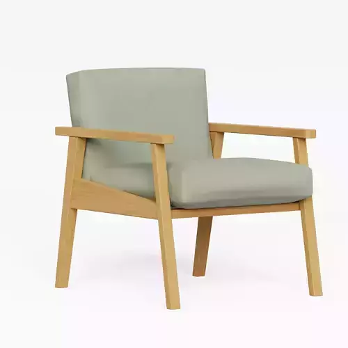 Armchair lounge chair with fabric and wooden frame