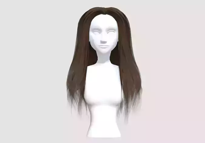 Long Simple Hairstyle 