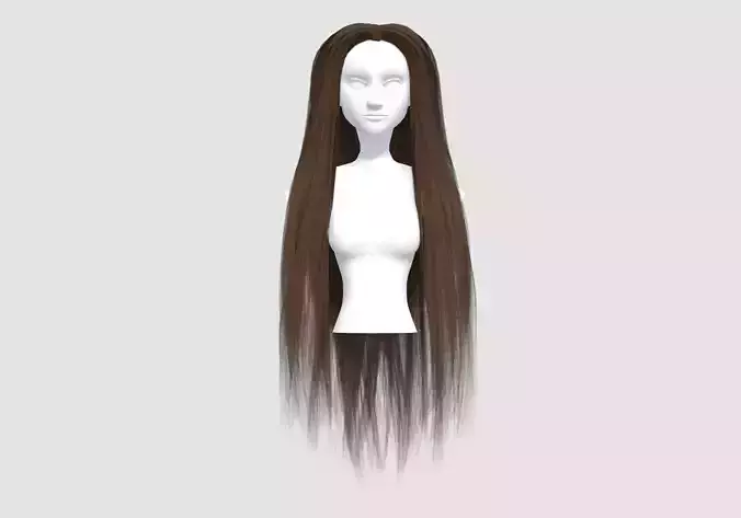 Long Basic Hairstyle 