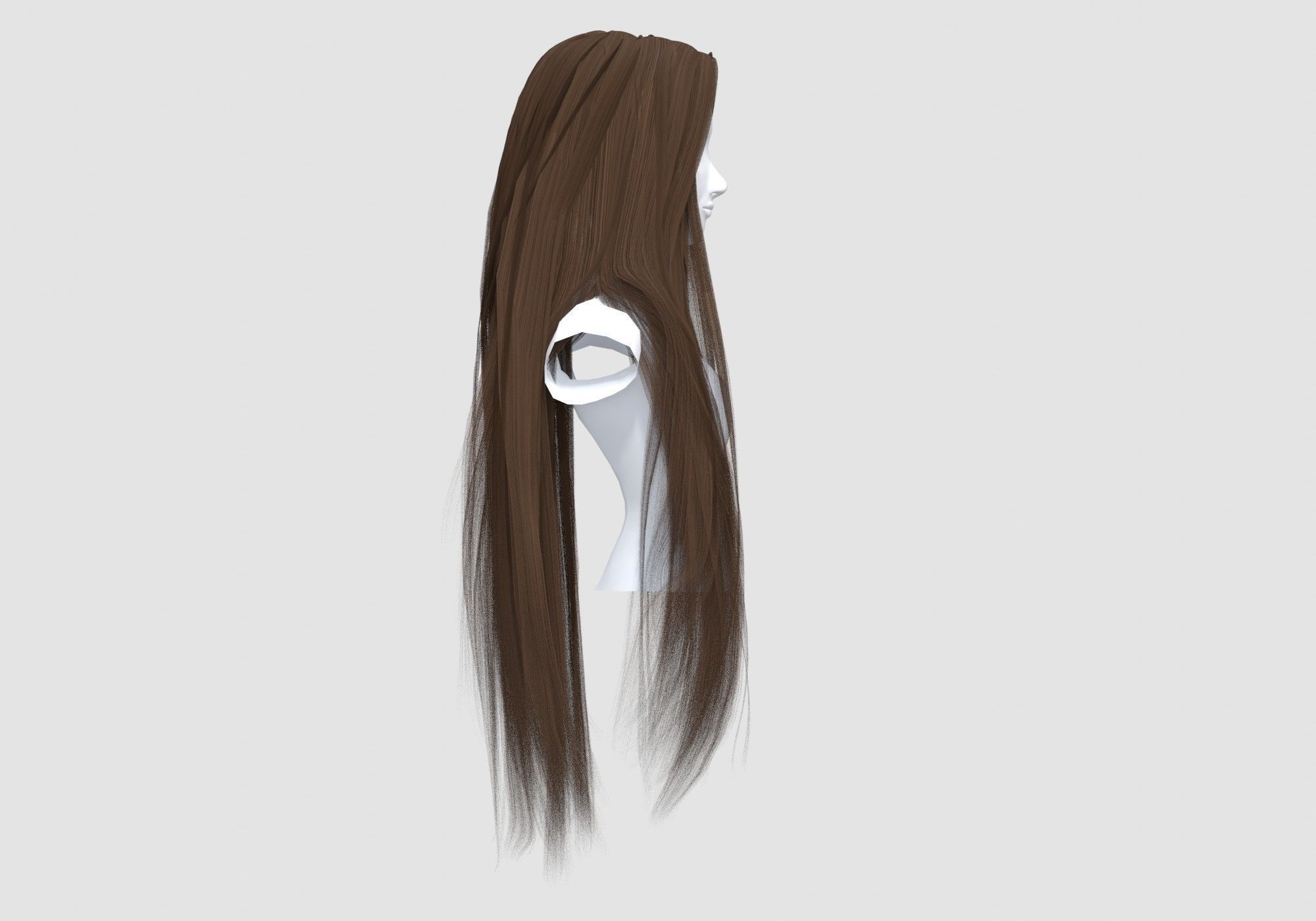 Long Basic Hairstyle 3D model_2