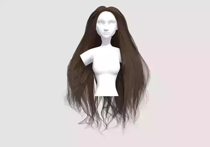 Long Female Hairstyle 