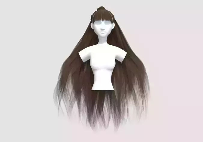 Long Big Hairstyle 