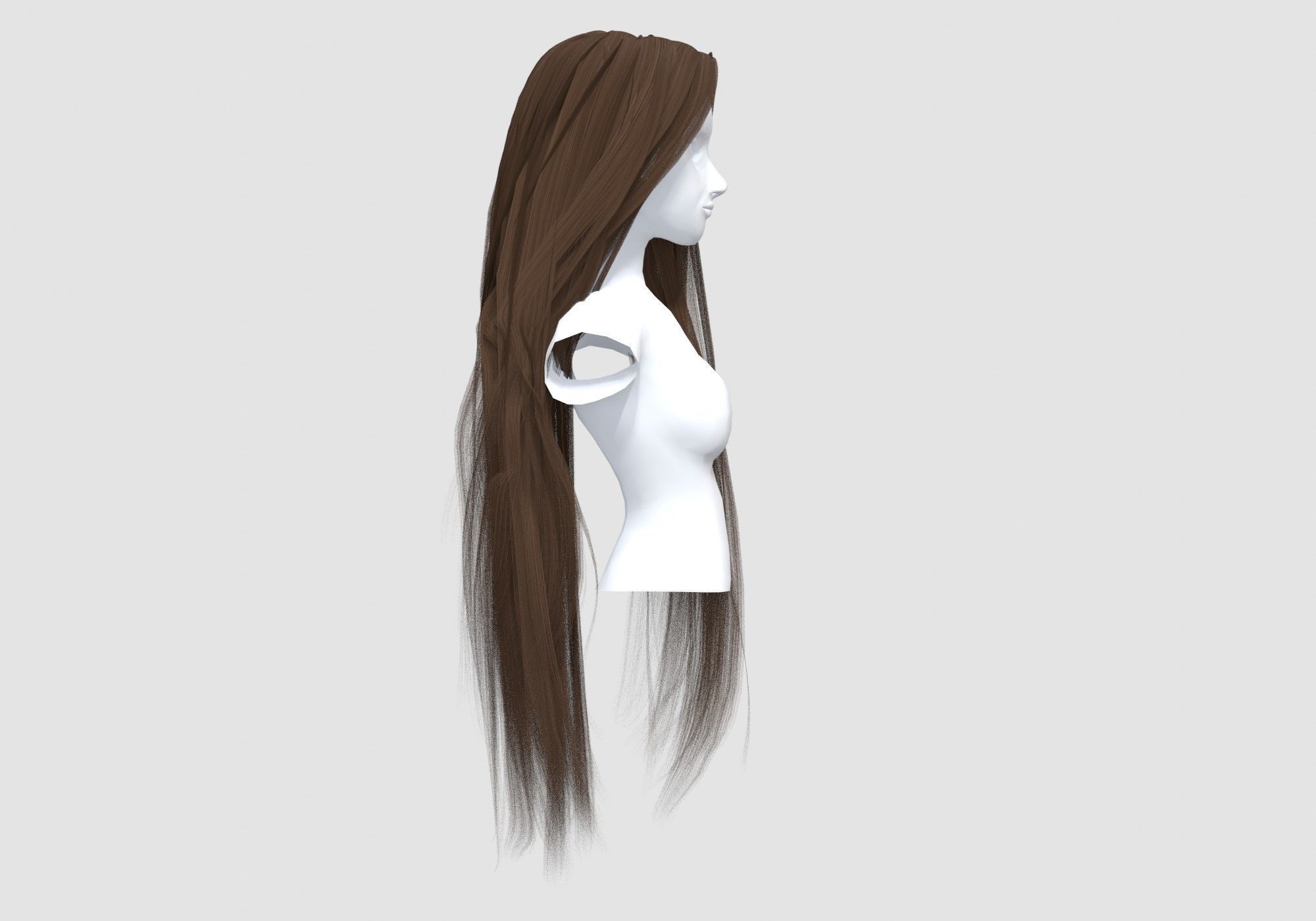 Long Basic Hairstyle 3D model_2