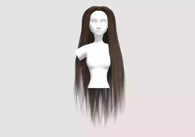 Long Basic Hairstyle 