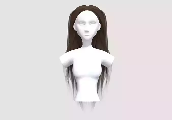 Female Realistic Hairstyle 