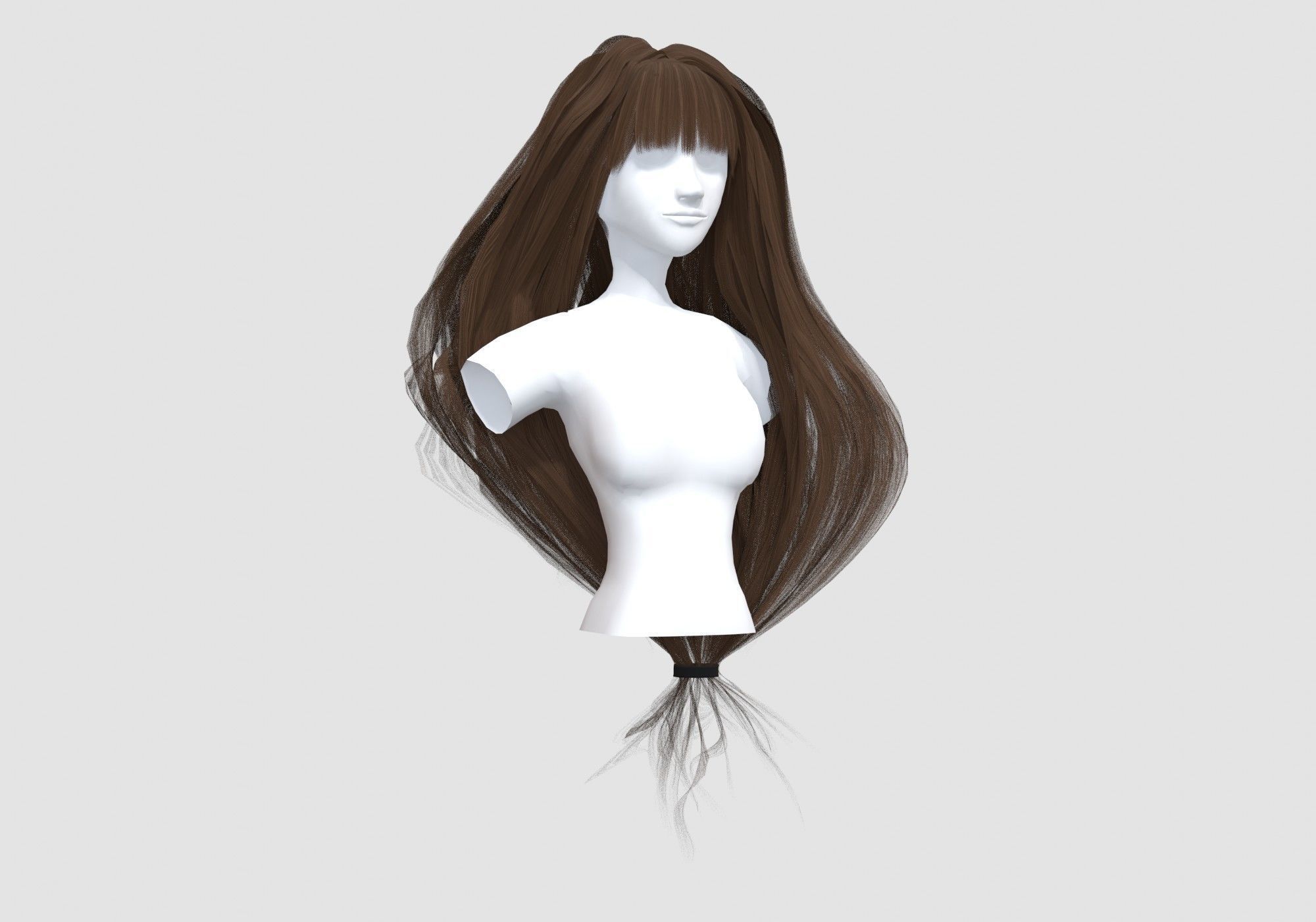 Female Long Hairstyle 3D model_1