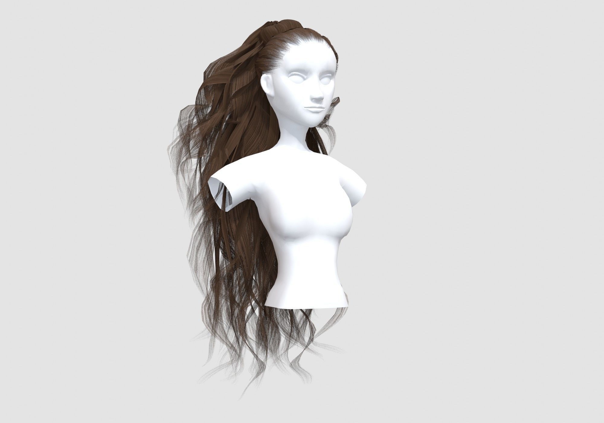 Female Long Hairstyle 3D model_1