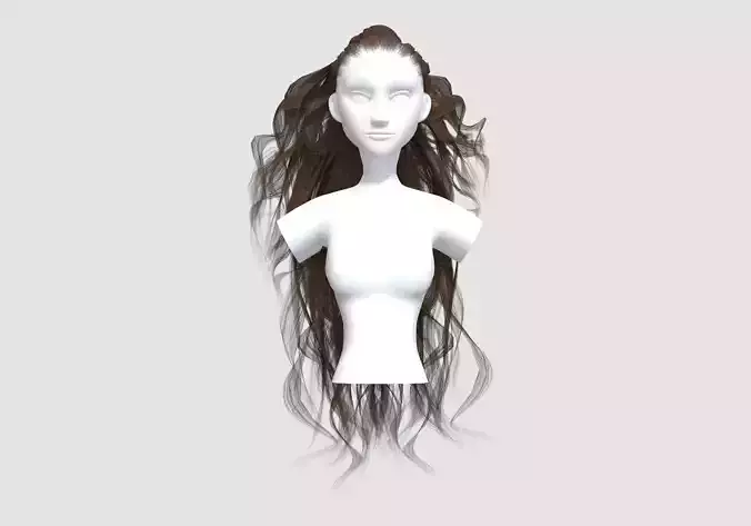 Female Long Hairstyle 3D model Female Long Hairstyle 3D model