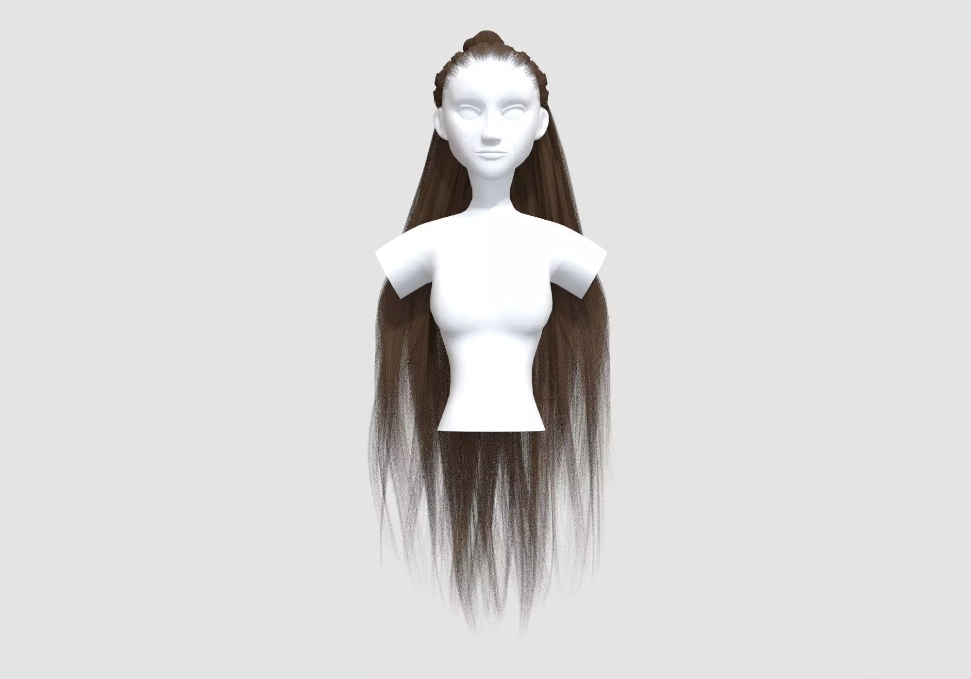 Bun Pigtail Hairstyle 3D model_0