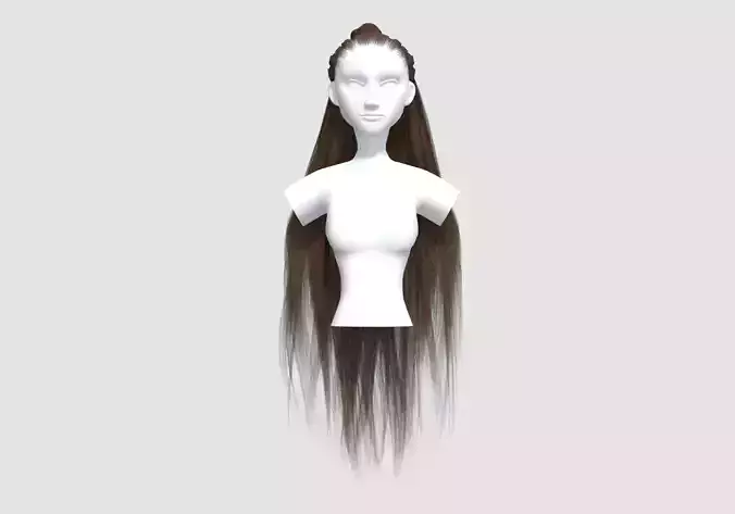 Bun Pigtail Hairstyle  3D model