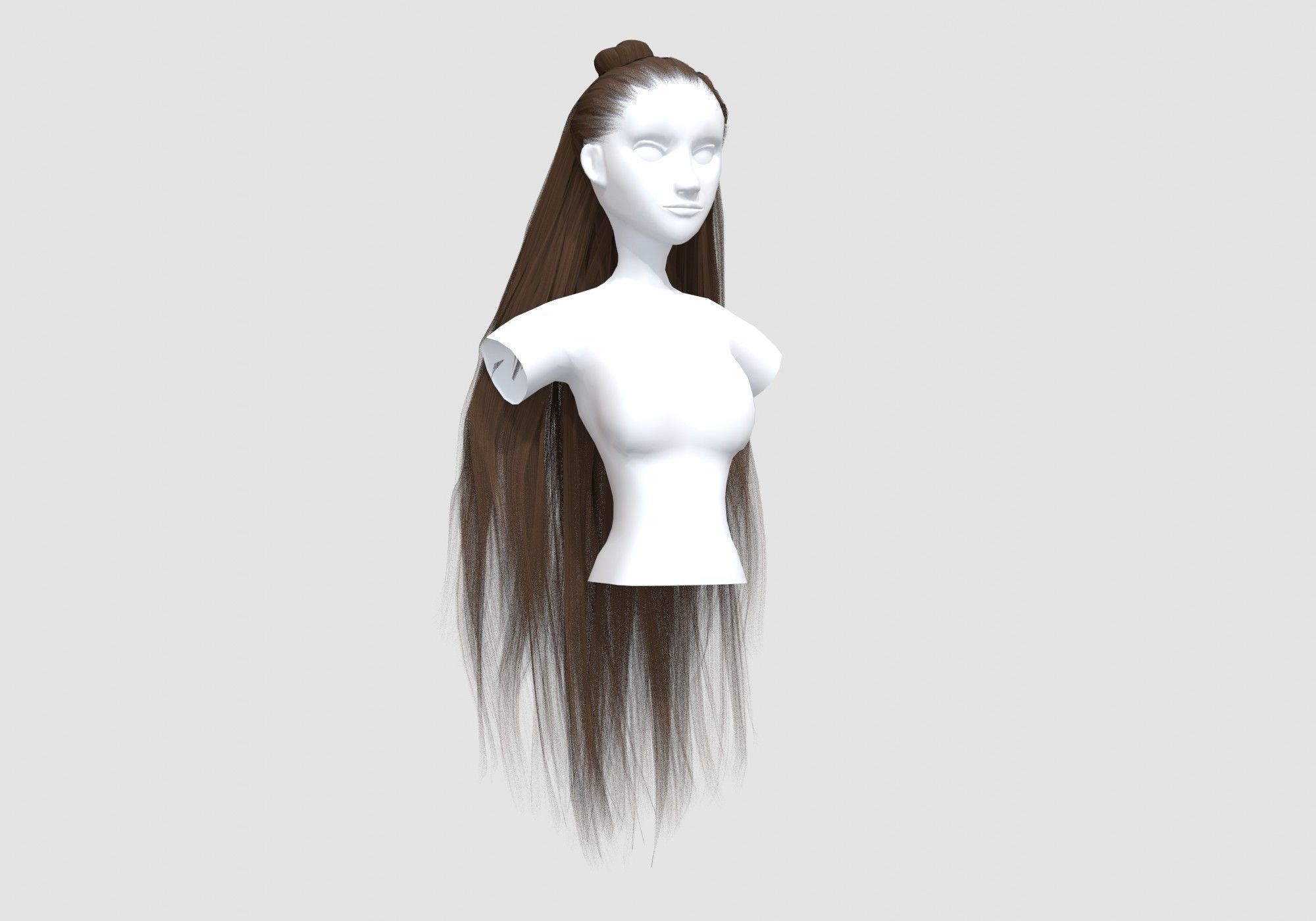 Bun Pigtail Hairstyle 3D model_1