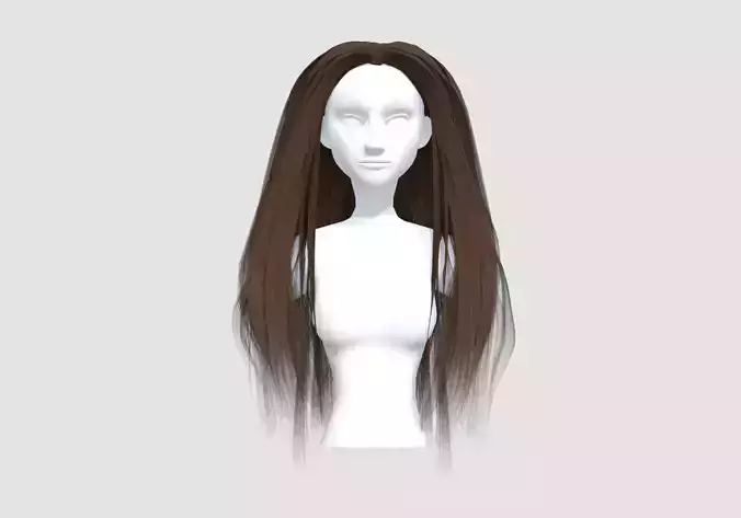 Brown Basic Hairstyle 